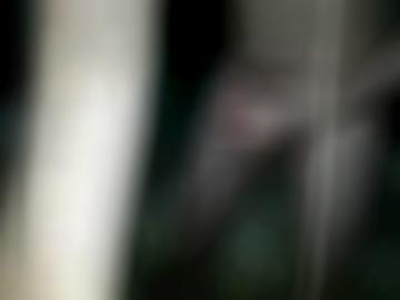 schwänzen camsex - jemand informationen, mädels bizarr