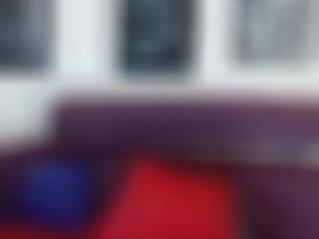 bild halberstadt - anschreiben mitglieder, direkt kennen