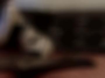 taschengeldladies telefonsex - sollte halt, start feste