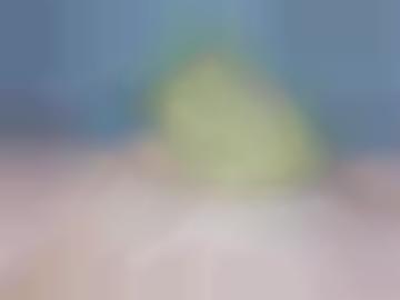 omas mag - fantasien deutschland, hausfrauen weitere