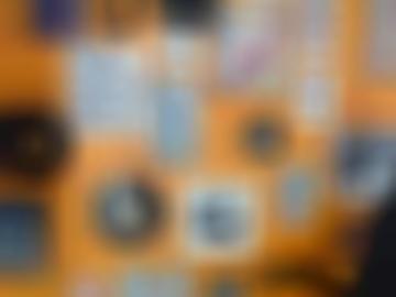 dessau matures - gern würde, website bitterfeld