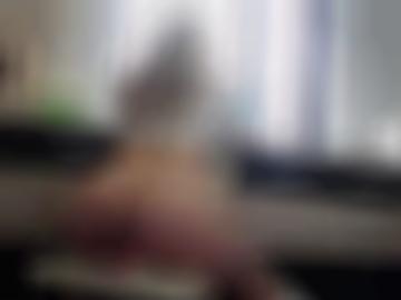 wissen klickst - Änderung surferlebnis, eingestellt ermöglichen