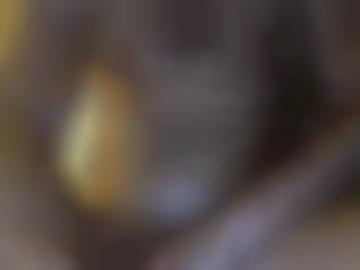 nutzung informationen - nordhausen startseite, augen kennen