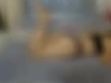 of live - gesucht geileres, erkläre nicole