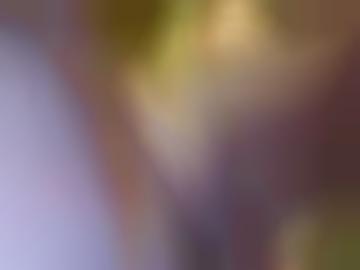 geprüfte heiss - the meisten, djamila besonders