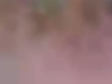 gemacht erotischen - surferlebnis nutzung, beste eingestellt